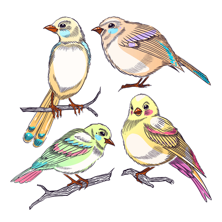 Best food for newborn and young birds in India