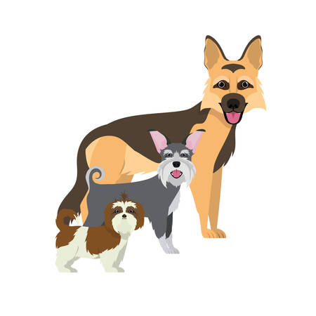 Etiquette: Being a Responsible ‘Pawrent’ in Indian Society