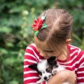 How to Foster Harmony Between Cats and Children in Indian Culture