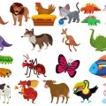 Pet care products & services for small animals in Indian market