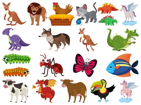 Pet care products & services for small animals in Indian market