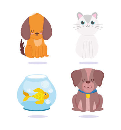 Creating Personalised Diet Plans for Your New Family Member