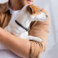 Stress Management While Working from Home: How Pets Help You Relax in India