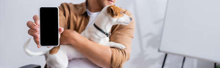 Stress Management While Working from Home: How Pets Help You Relax in India