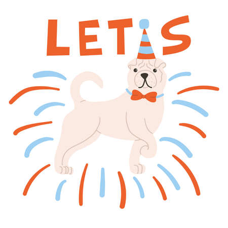 Home Safety and Pet-Friendly Tips for Indian Households