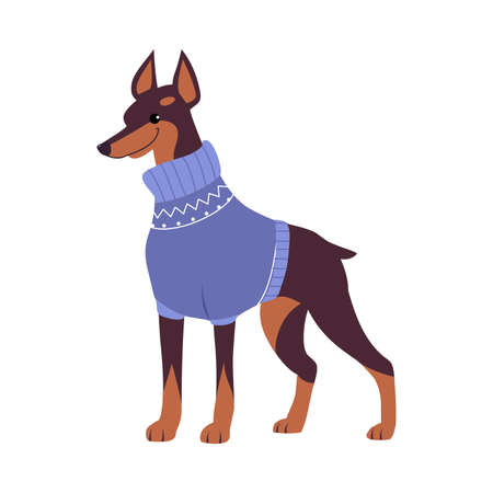 Cultural Context: Pets and Community Living in India