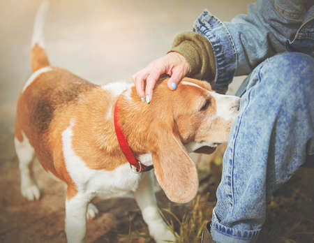 Pet noise rights in India: Handling neighbours’ complaints & legal solutions
