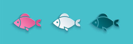 Setting Up a Family-Friendly Fish Pond
