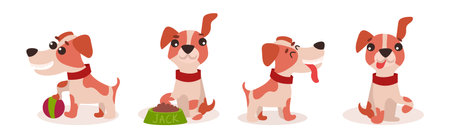 Preparing Your Pet for the Journey