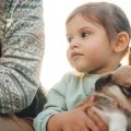 How Allergies & Diseases Are Linked: Impact on Indian Pet Health