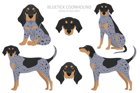 Recognising Symptoms: What Indian Pet Parents Need to Know