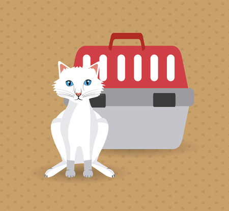 Homemade vs. Commercial Cat Food: What Works Best?