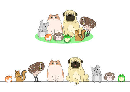 Nutrition & Diet Plans for Adopted Pets in India