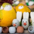 Safe and Suitable Toys for Indian Birds
