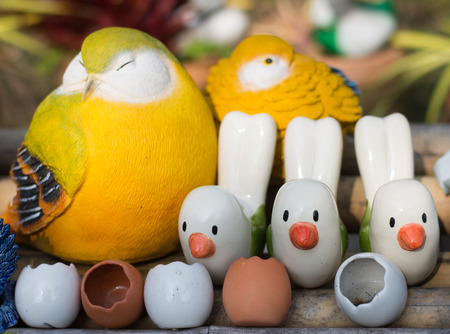 Safe and Suitable Toys for Indian Birds