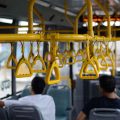 Travel Tips: Pet Safety at Railway Platforms & Bus Stands in India