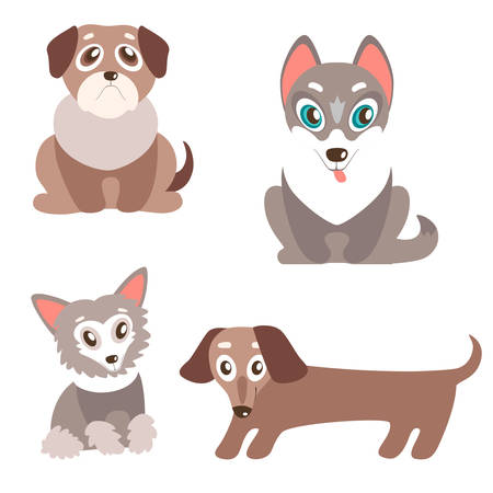 Emotional and Social Benefits of Pets for Special Needs Children