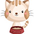 Top Cat Food & Nutrition Choices Available in India