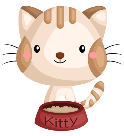 Top Cat Food & Nutrition Choices Available in India
