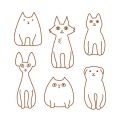 How to know if your cat needs a professional grooming session in India?