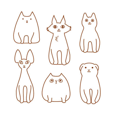 How to know if your cat needs a professional grooming session in India?