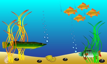 Taste and Cooking Traditions in Indian Cuisine