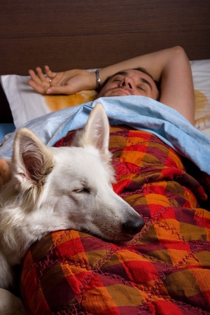 Indian Housewives & Their Beloved Pets: Unique Bonds & Heartwarming Stories