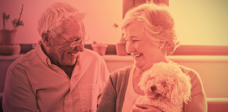 Top Pet Choices for Elderly in India