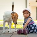 Impact of Pets on Children’s Mental Growth in Indian Families