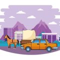 Easy Pet Transport Options in Major Indian Cities