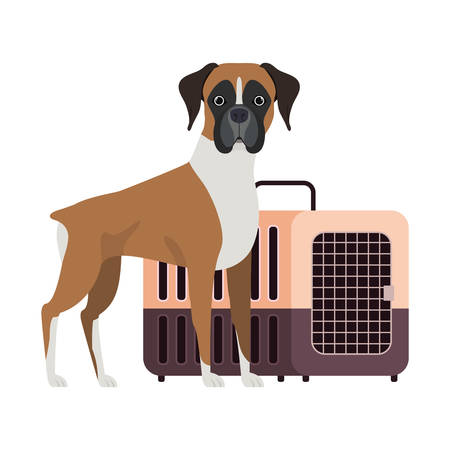 Impact of Microchipping and Tagging in Preventing Pet Theft