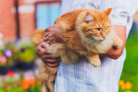 Ideal Pets for Elderly in India: Care, Companionship & Easy Maintenance