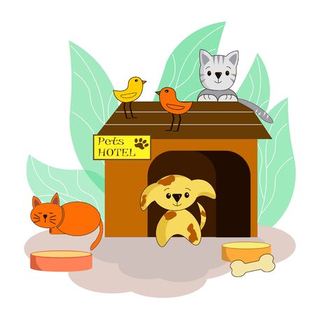 Simple Home Remedies and Traditional Methods