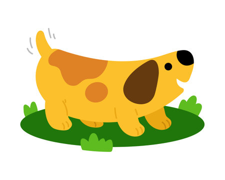 Top Causes of Dog Food Allergies in India