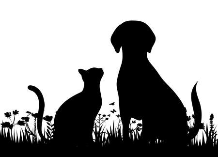 Can Cats Safely Consume Cow or Buffalo Milk in India?