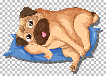 Pet friendly resorts in Goa & their special amenities for your furry friends