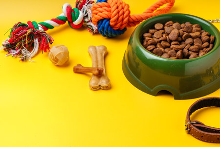 Selecting Dog Accessories & Toys: Indian Market Guide
