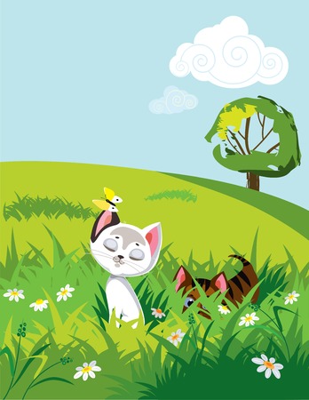 Adapting Home Layouts and Spaces for Pets