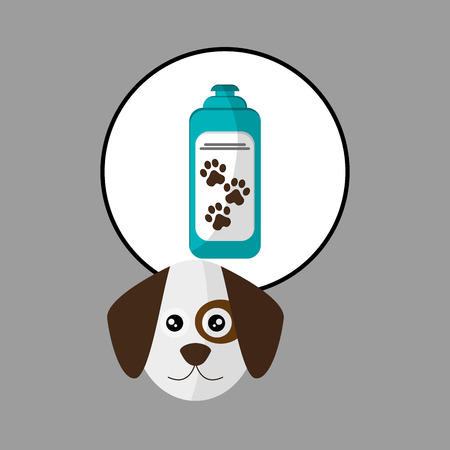 Risks of Improperly Balanced Homemade Diets