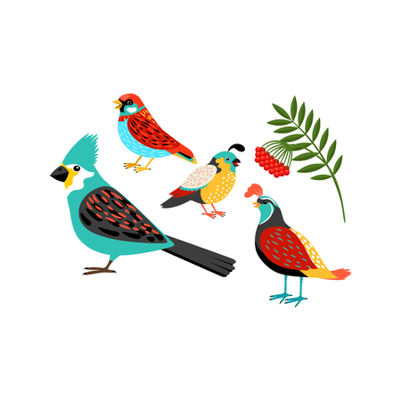 Training Methods: Urban vs Rural Approaches