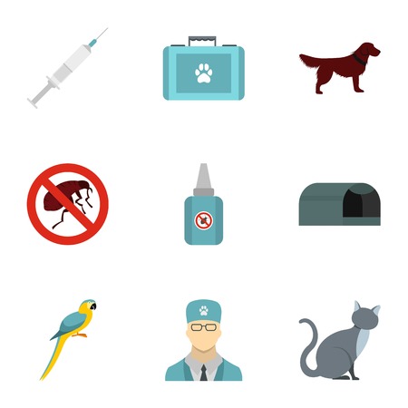 Choosing Pet-friendly Transport Options