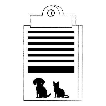 Local Brands and Where to Shop