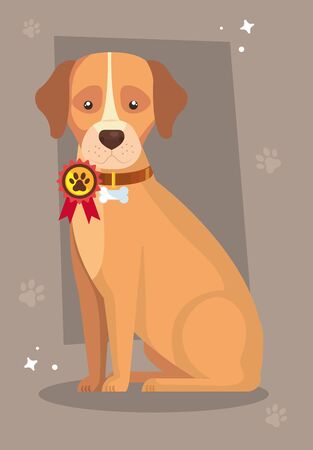 Risks for Different Indian Breeds and Strays